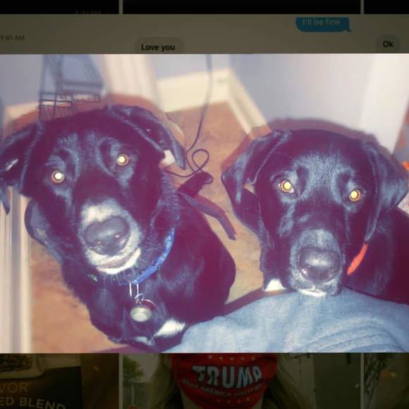 Poshmark profile picture for @charitable